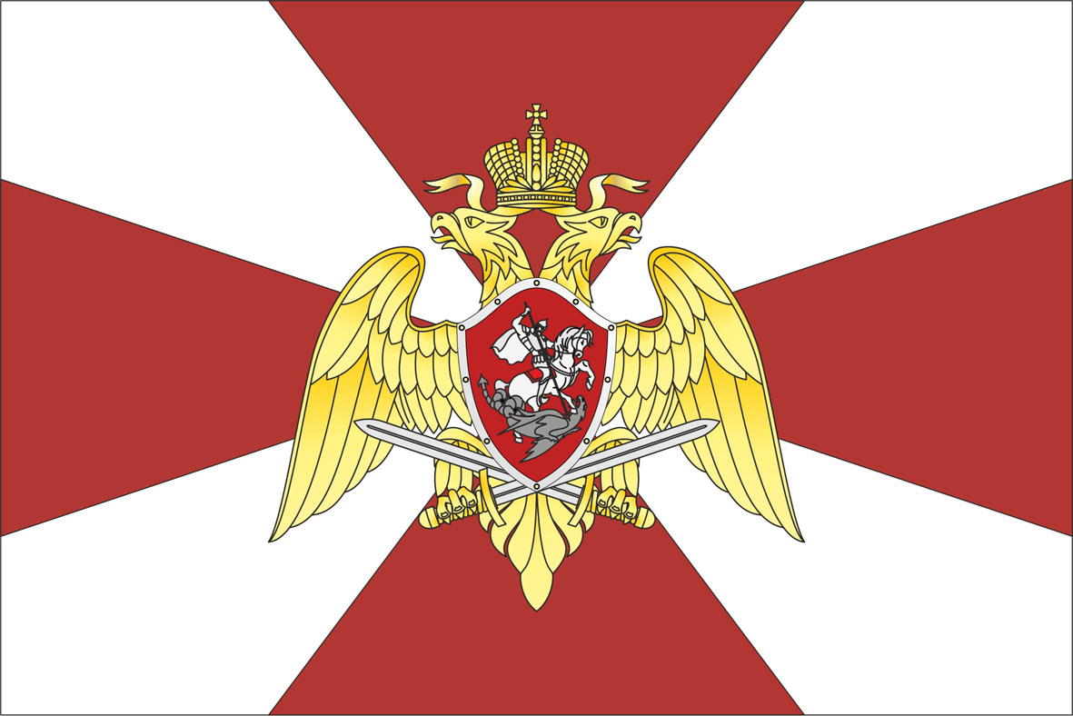Росгвардия предложила штрафовать охранников без резиновых палок